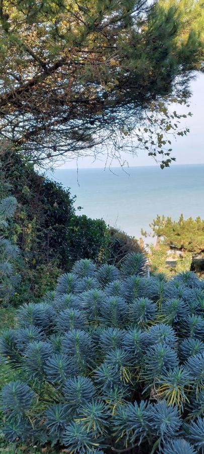 Le Cise Eau A Bois Διαμέρισμα Le Bois de Cise Εξωτερικό φωτογραφία
